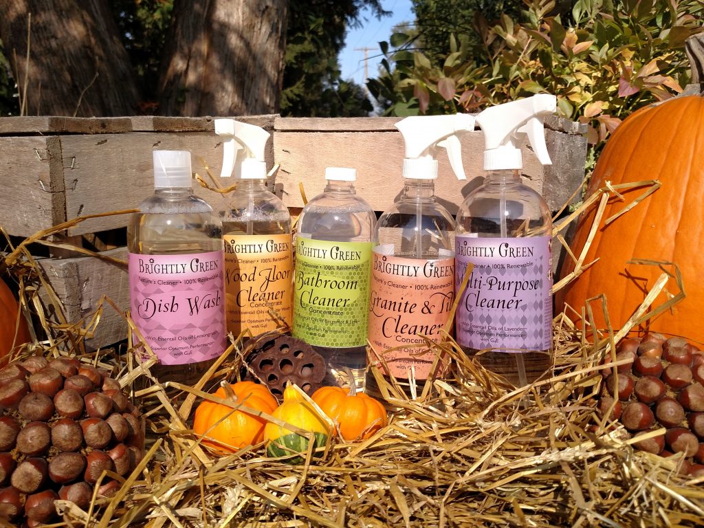 eco friendly vegan cleaning products in fall setting